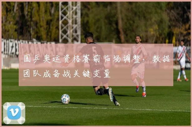 国乒奥运资格赛前临场调整，数据团队成备战关键变量