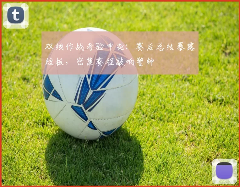 双线作战考验申花：赛后总结暴露短板，密集赛程敲响警钟
