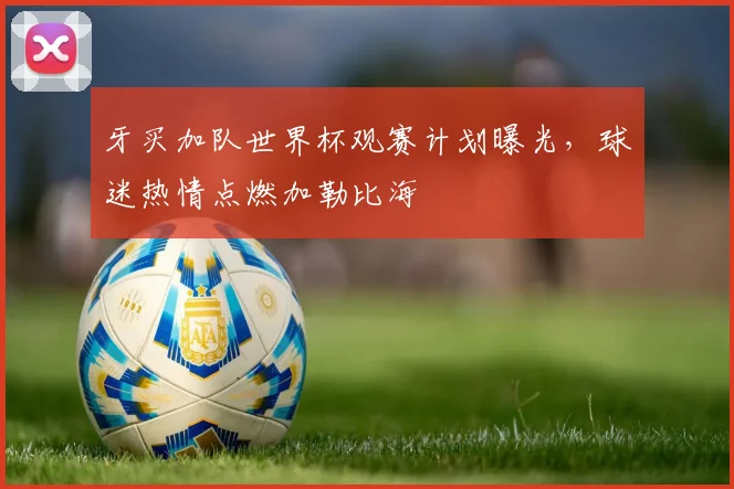 牙买加队世界杯观赛计划曝光，球迷热情点燃加勒比海